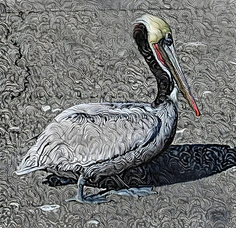 Pelican (from original photo taken in 2002)