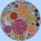 Colorful 3D Floral Pattern on Ornate Circular Background