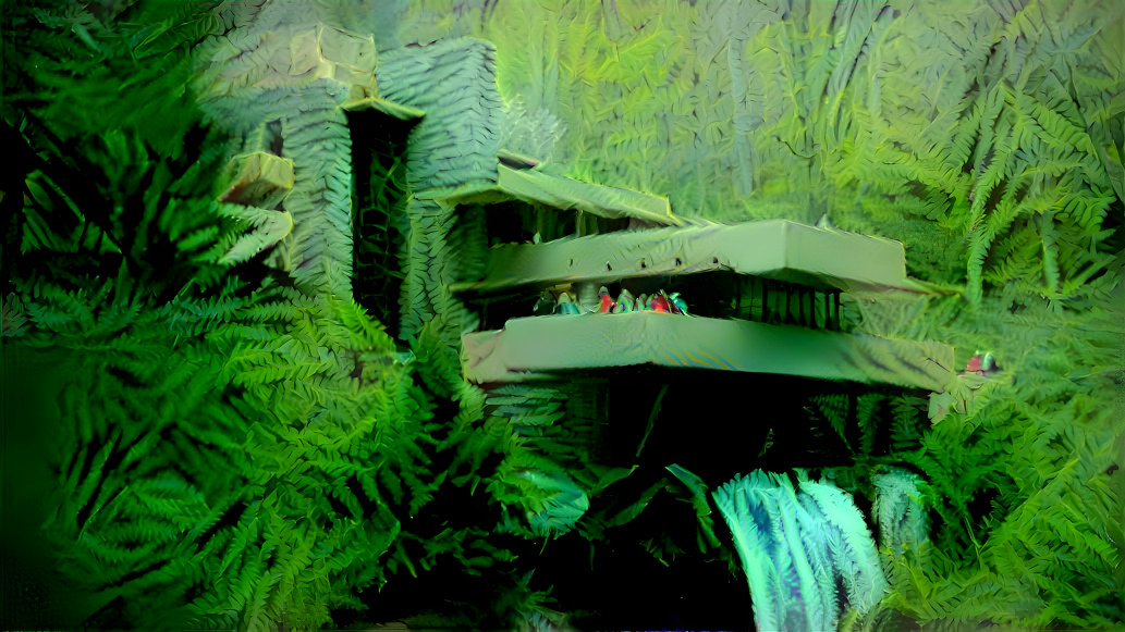 Falling water with ferns