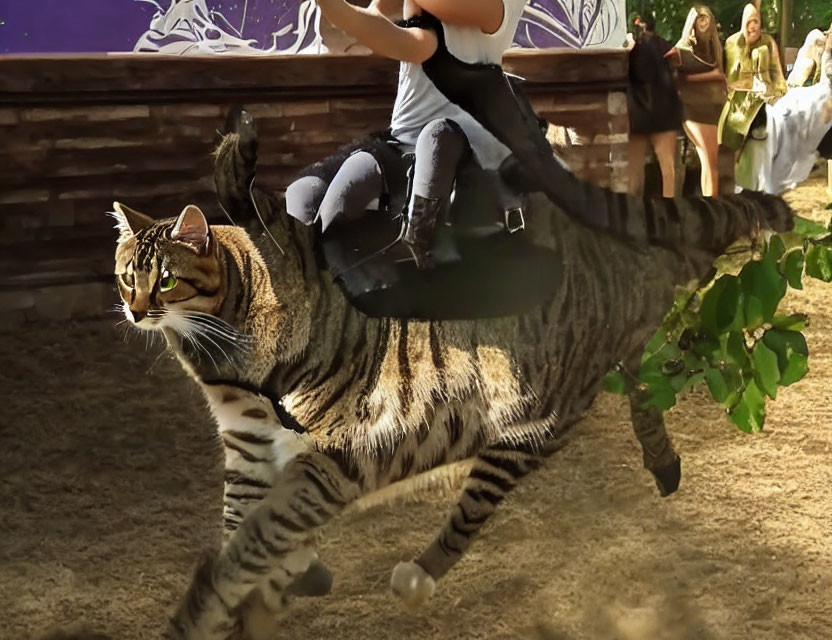 Distorted cat-human ride illusion at festival