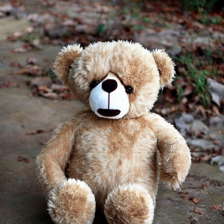 Brown plush teddy bear with snub nose on gray pavement
