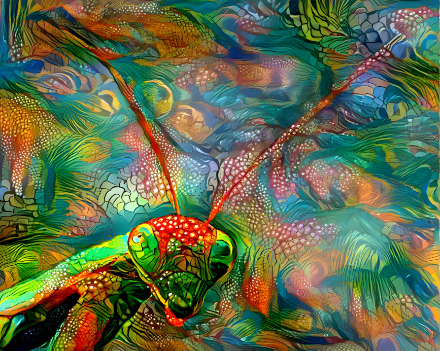 Psychedelic Mantis