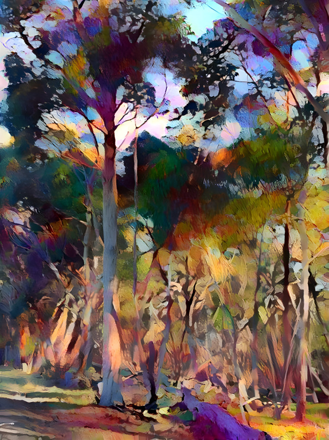 From the 'Nature Series' - Woodlands Park 