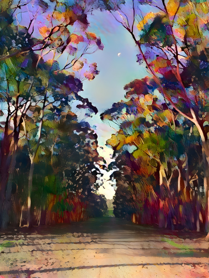 From the 'Nature Series' - Woodlands Park