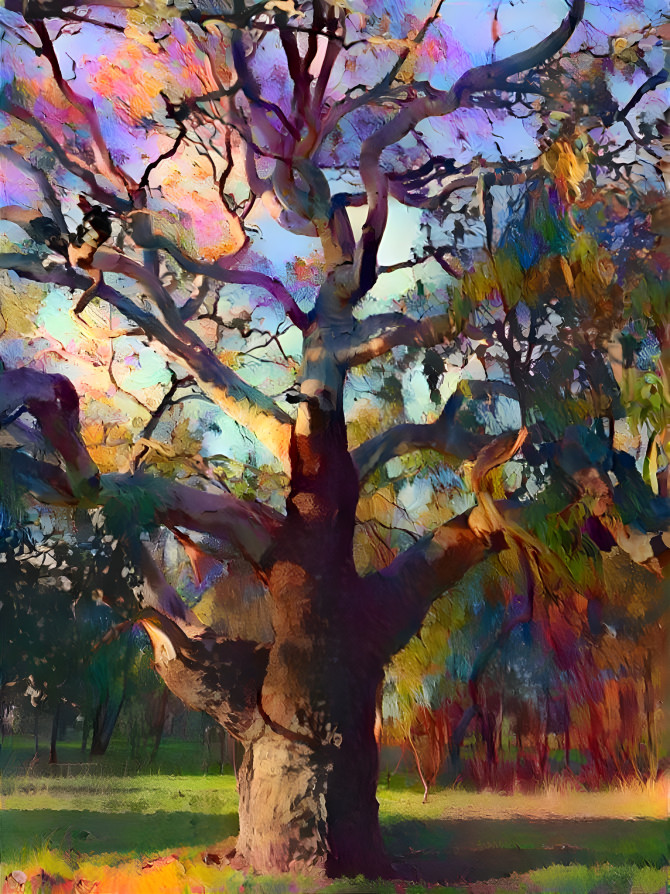 'Gum Tree Series' - Woodlands Historic Park