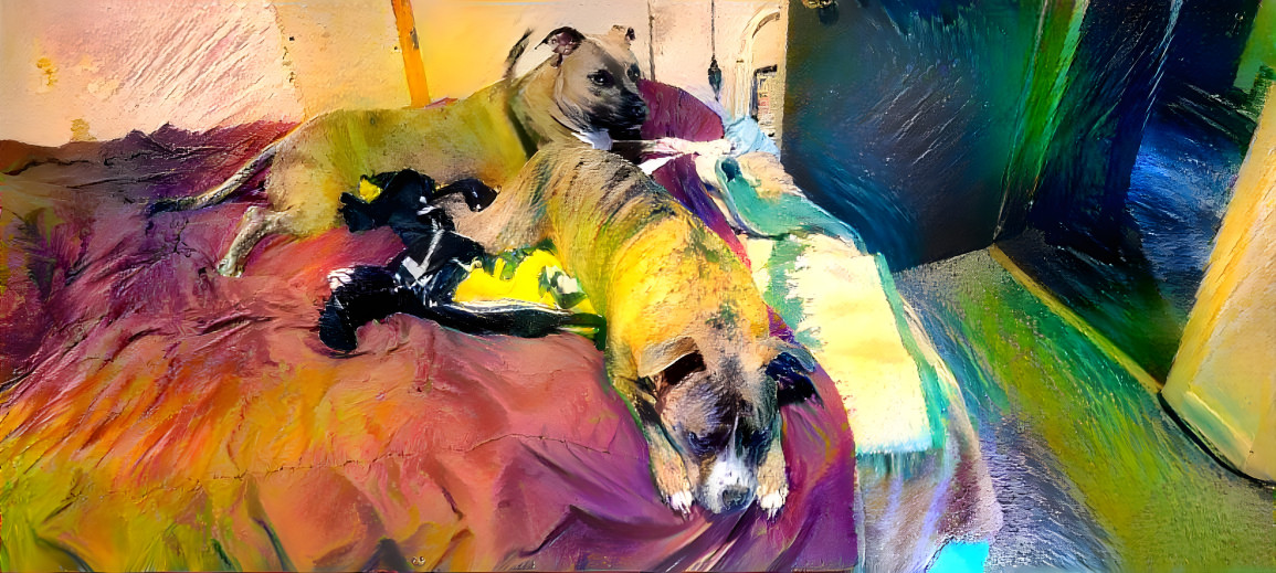 Rainbow Doggies 