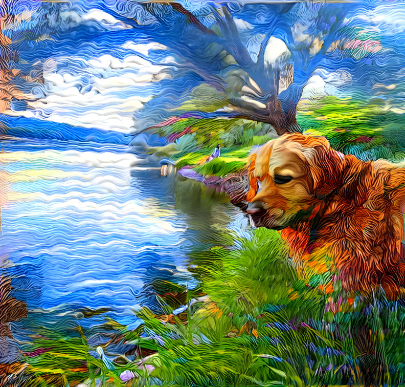 Dog near river