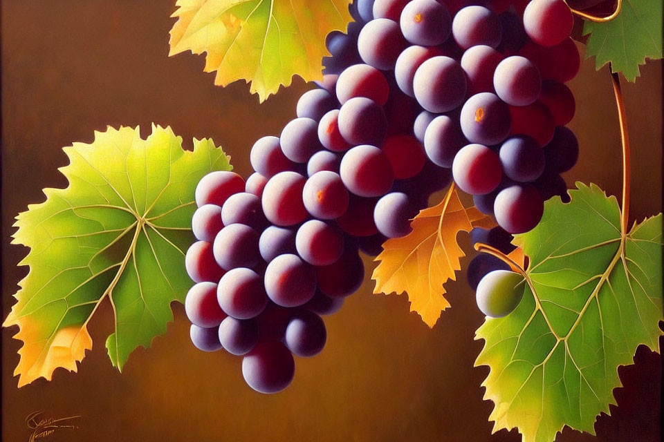 Realistic Painting of Ripe Grapes in Purple and Green Hues
