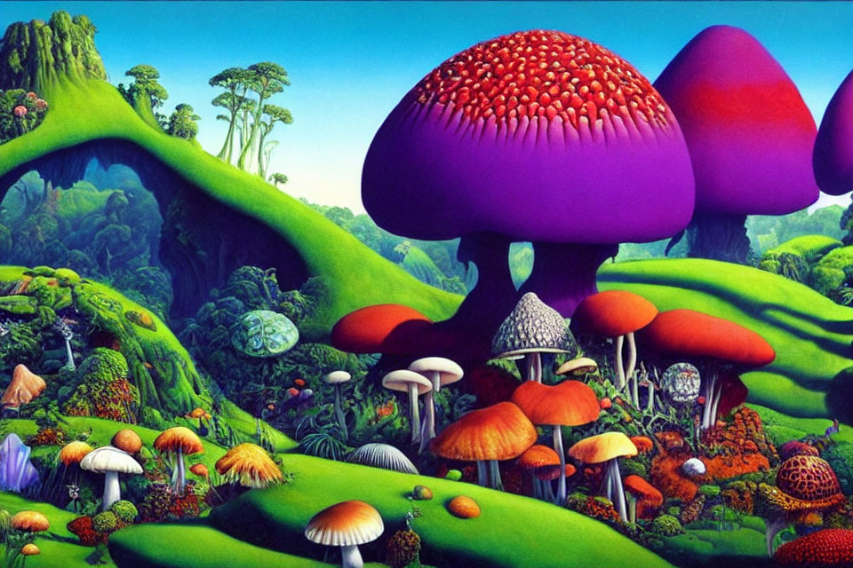 Colorful illustration of oversized mushrooms in lush landscape