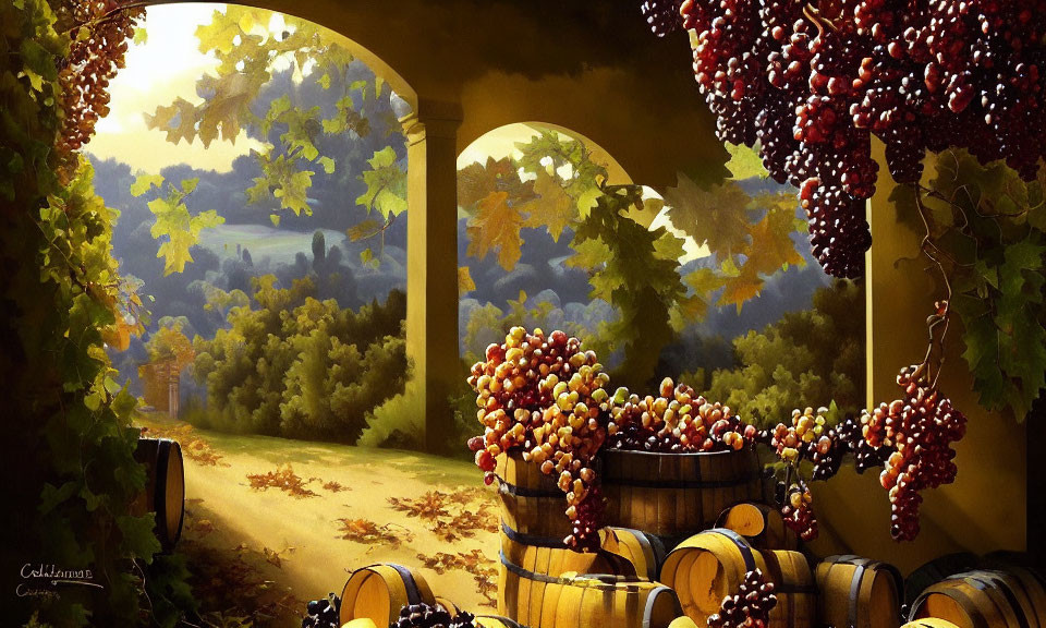 Vibrant vineyard scenery with ripe grapes, barrels, and arched pathways in golden light.