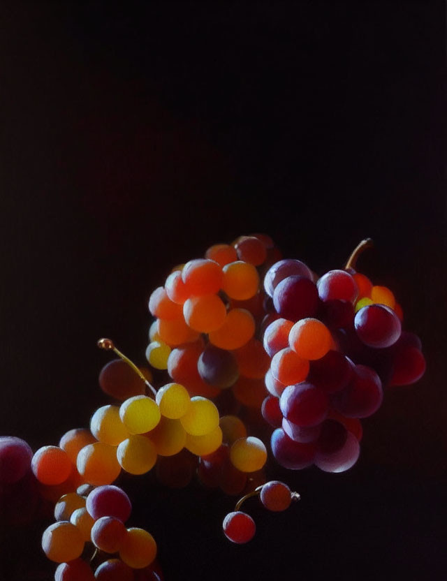 Vibrant multi-colored grapes on dark background with soft glow