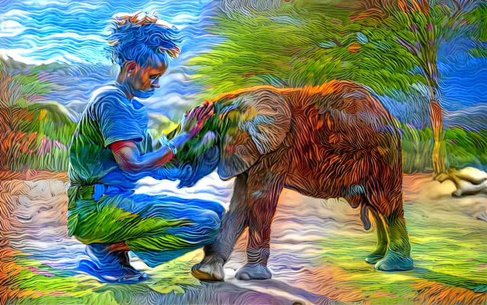 Boy and elefant