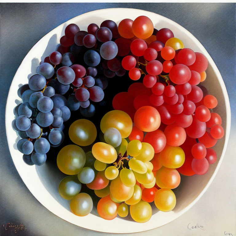 Realistic painting of colorful grape clusters in a bowl