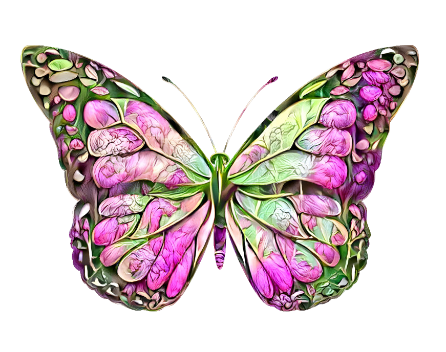 butterfly  087