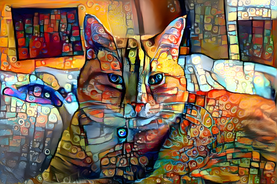 Cat2