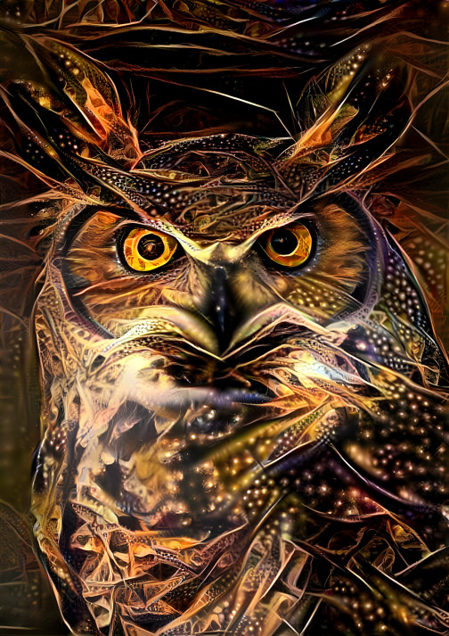 Filibun the Owl