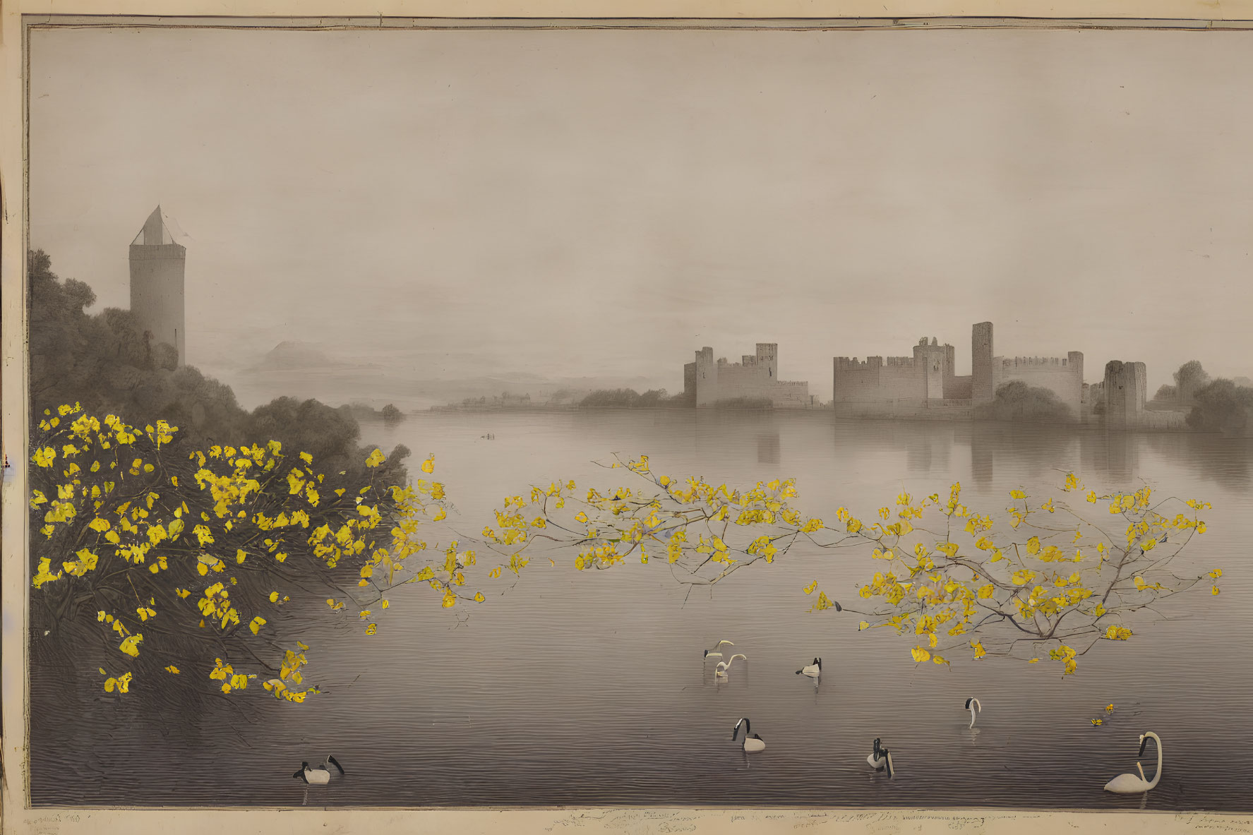 Vintage Artwork: Serene Lake, Swans, Yellow Flowers, Medieval Castles