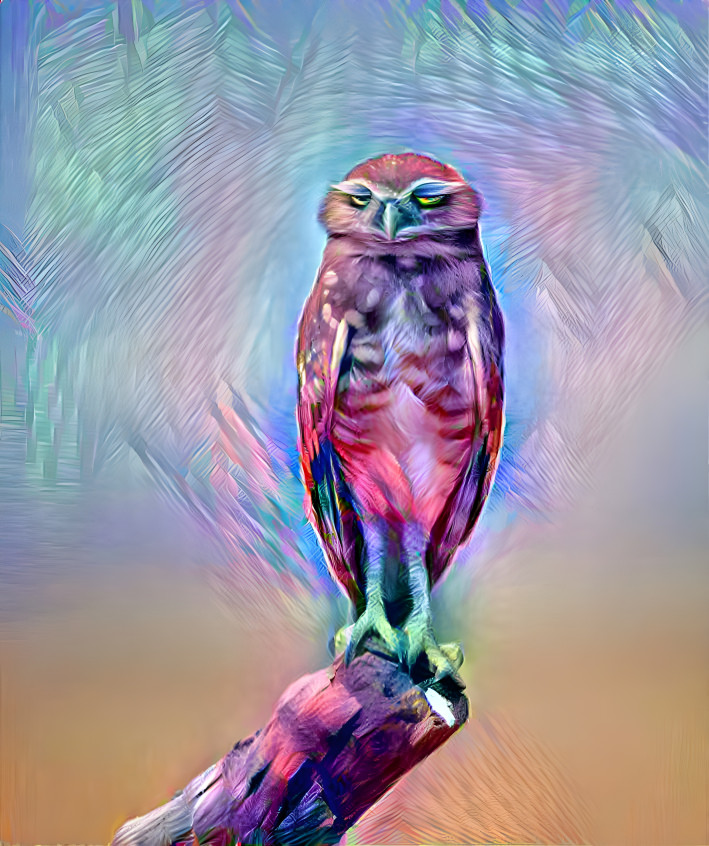 Chilled Owl
