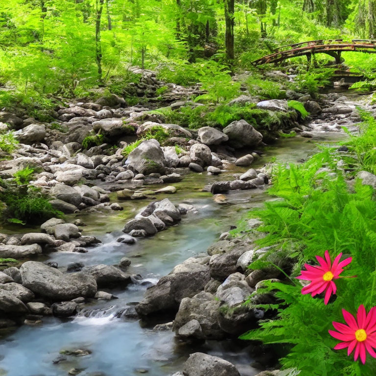 Tranquil woodland stream with rocks, green foliage, pink flowers, and wooden bridge