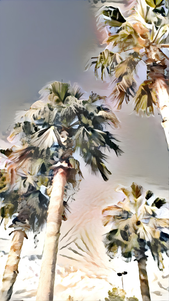 Frosted Palm Trees