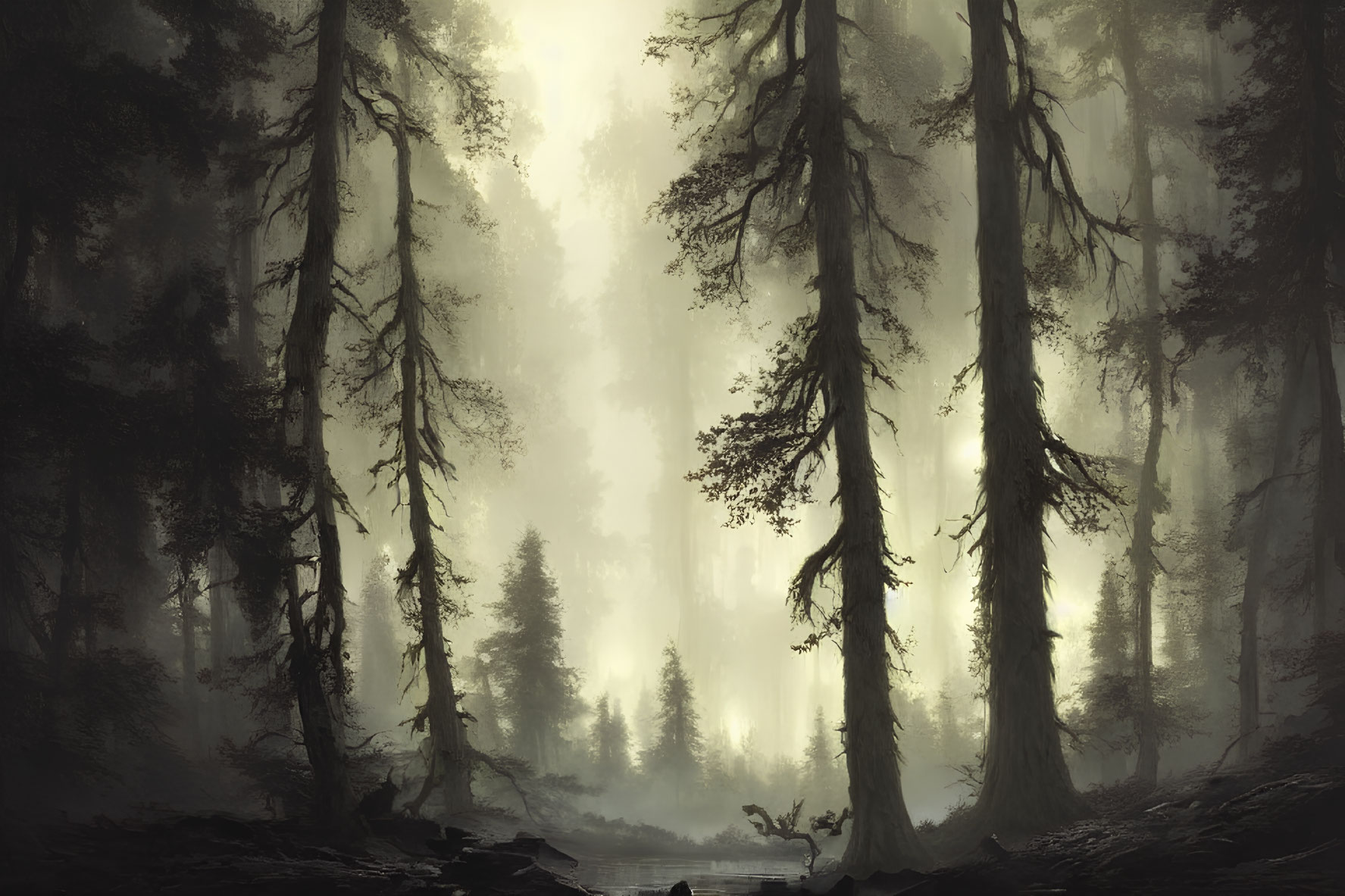 Enigmatic Forest with Towering Trees and Soft Sunlight