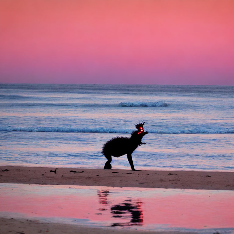 Silhouette of bird with crest on beach at twilight with pink and blue hues