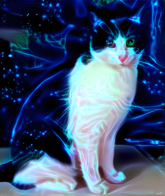 Glowing Cat in the Dark
