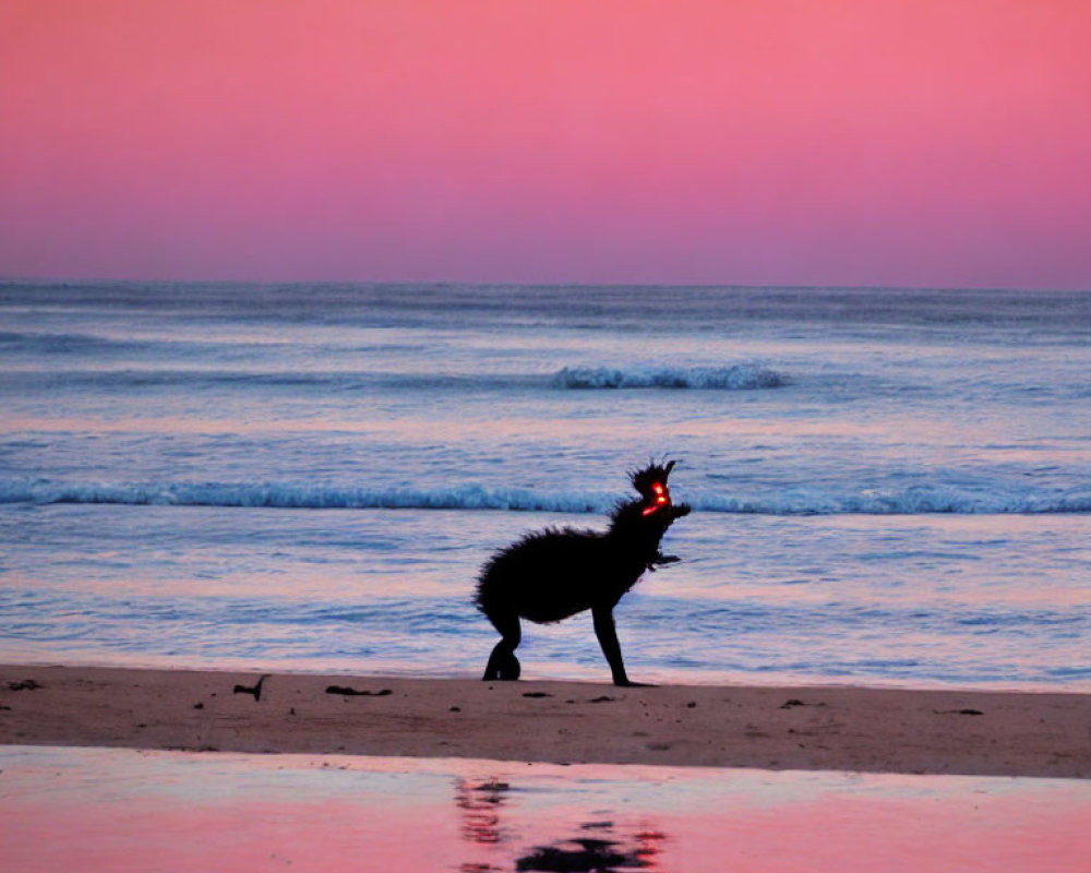 Silhouette of bird with crest on beach at twilight with pink and blue hues