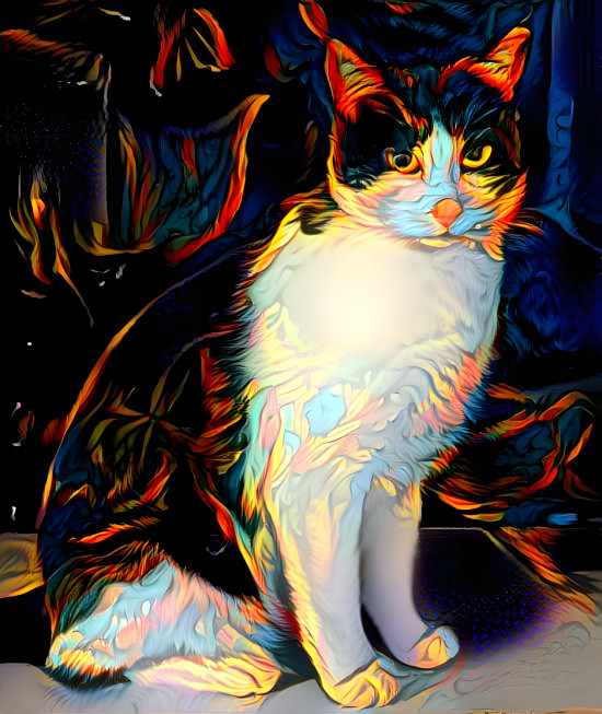 Cat on Fire