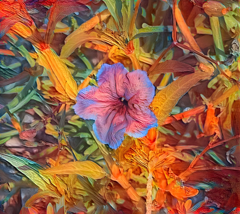 Sunrise Flower