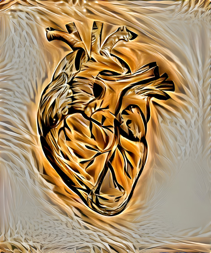heart in structure