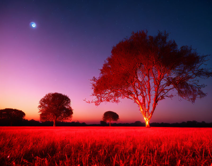 Vibrant night scene with crescent moon, silhouetted trees, and red-to-blue