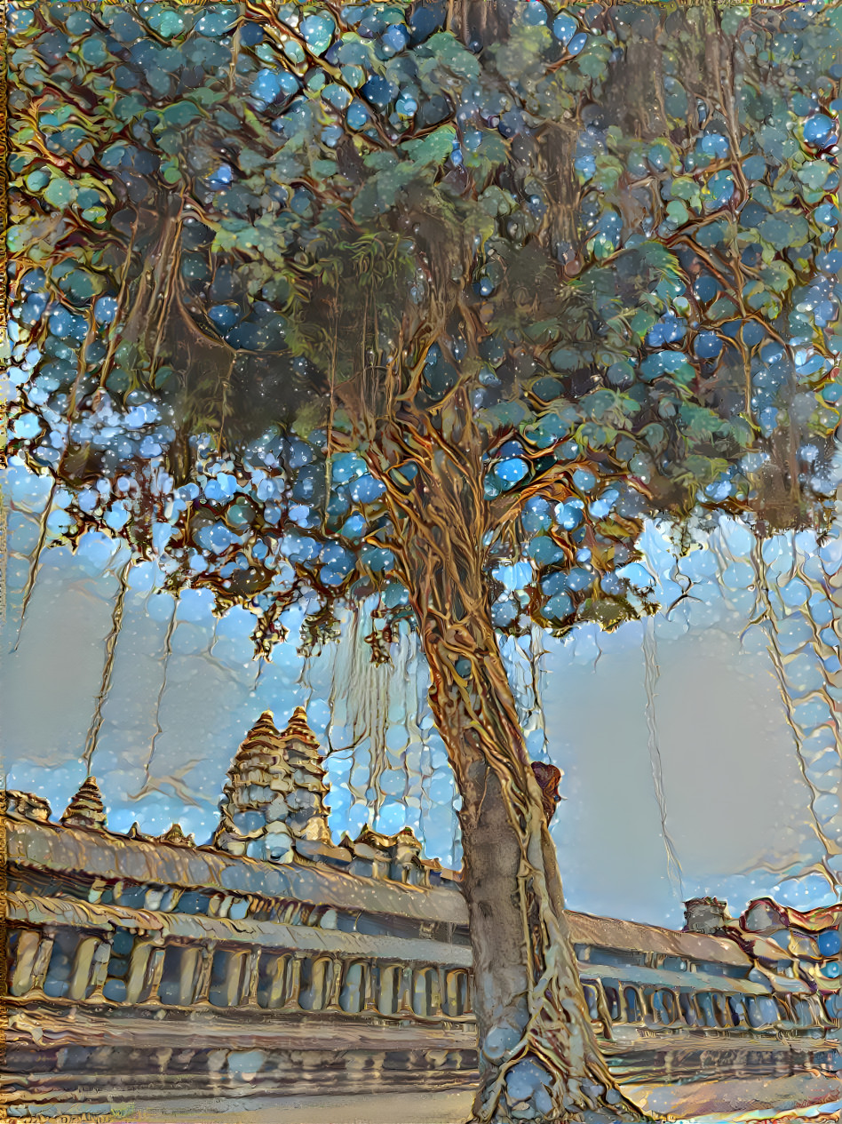 big tree at Angkor