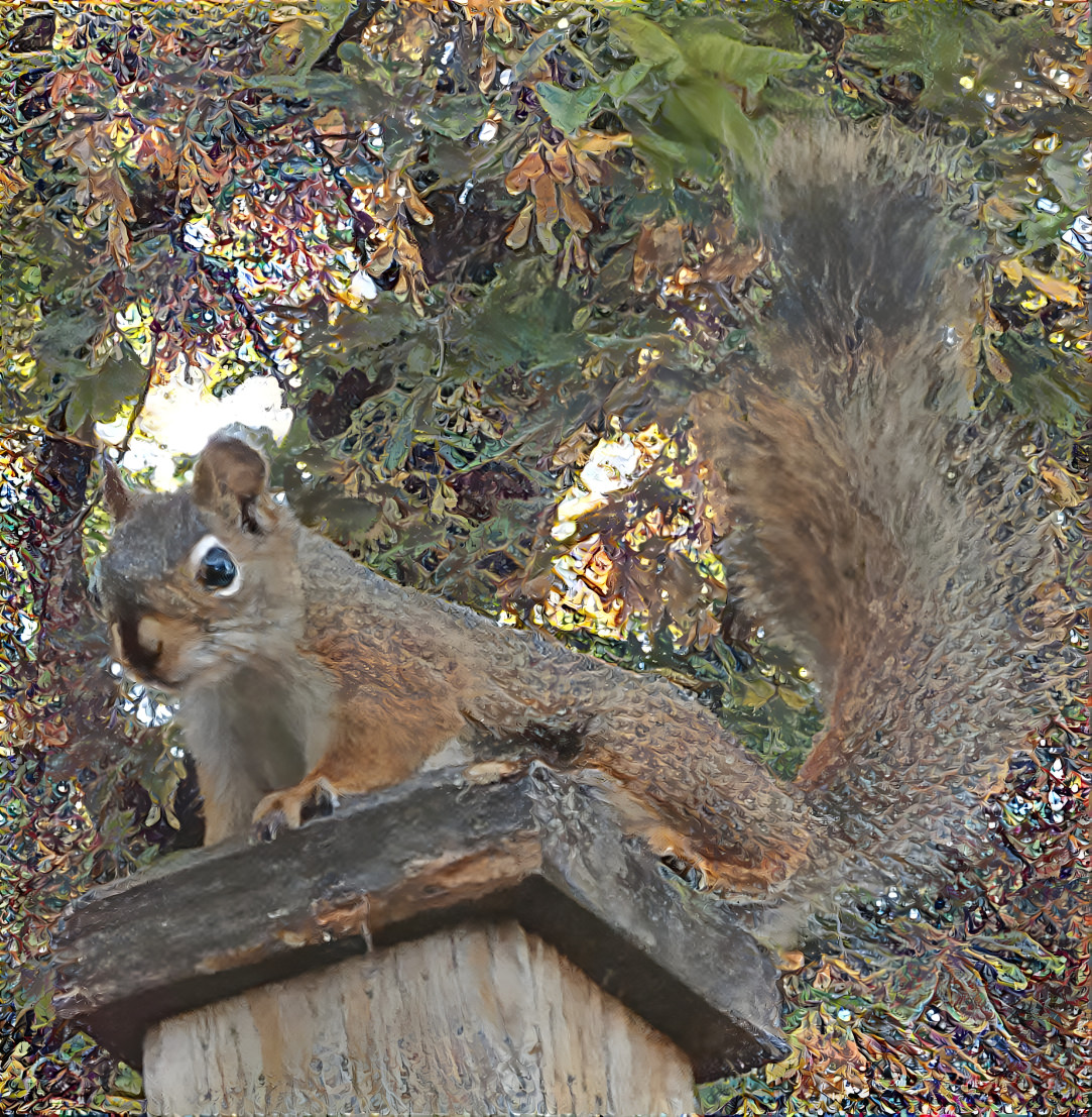 red squirrel on fencepost