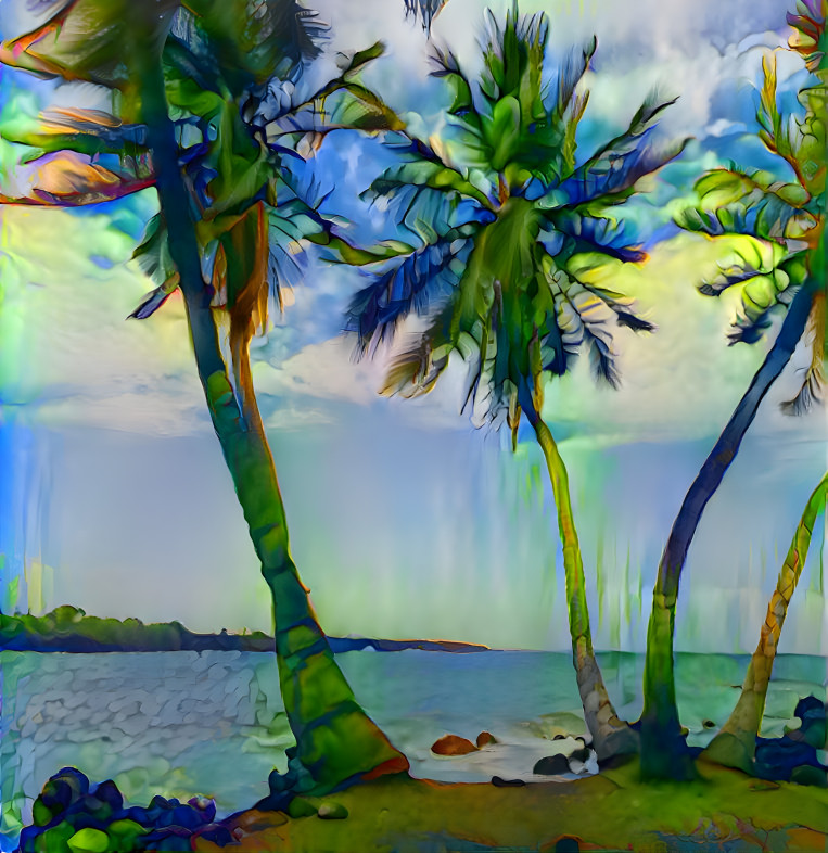 palms on big island