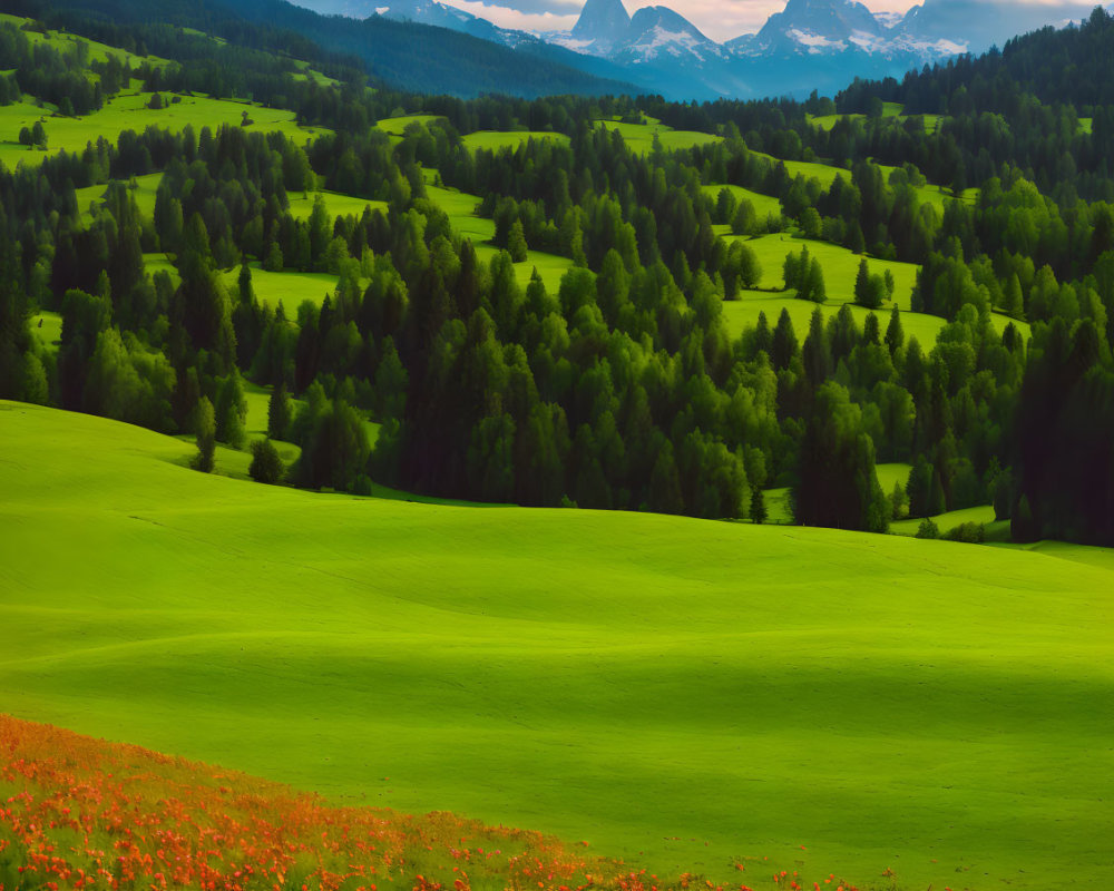 Vibrant landscape of green hills, red wildflowers, and distant mountains