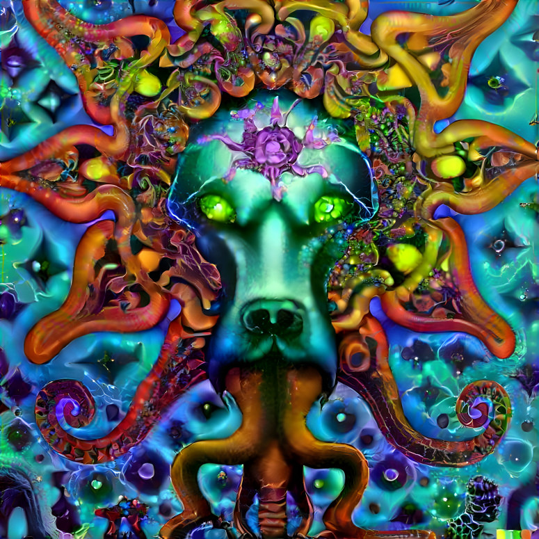 Dogtopus is trippin balls