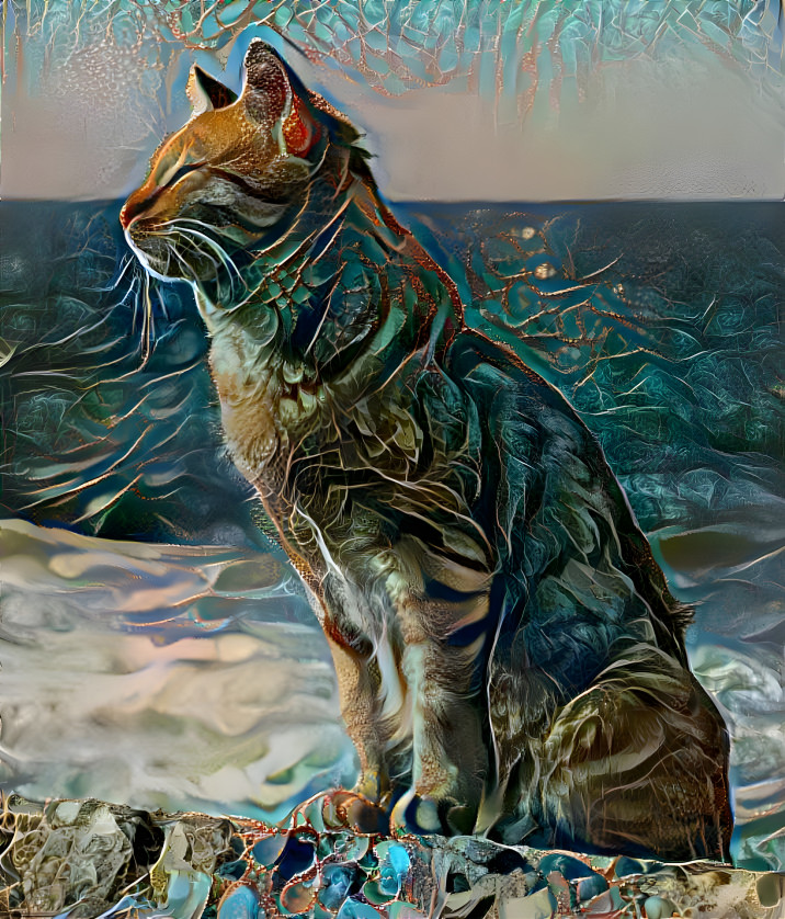 the sea glass cat