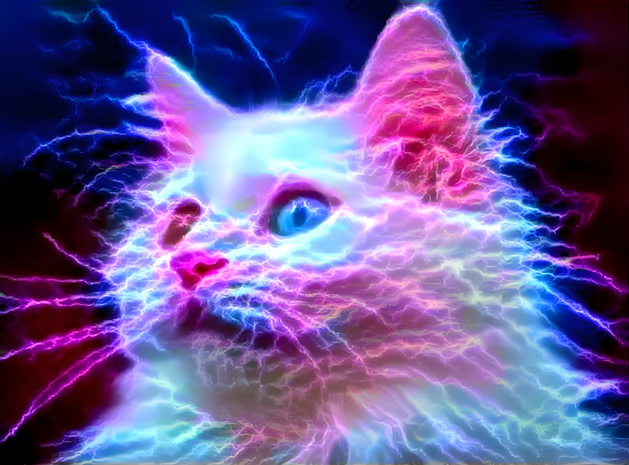 Elictrically charged cat
