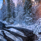 Winter landscape: setting sun, icy trees, flowing river, snow-covered rocks