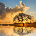 Vibrant sunrise over surreal landscape with lone tree
