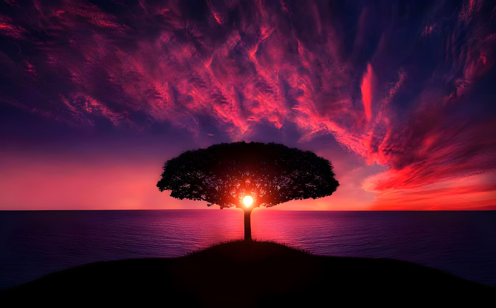 A sunset and a tree in the middle