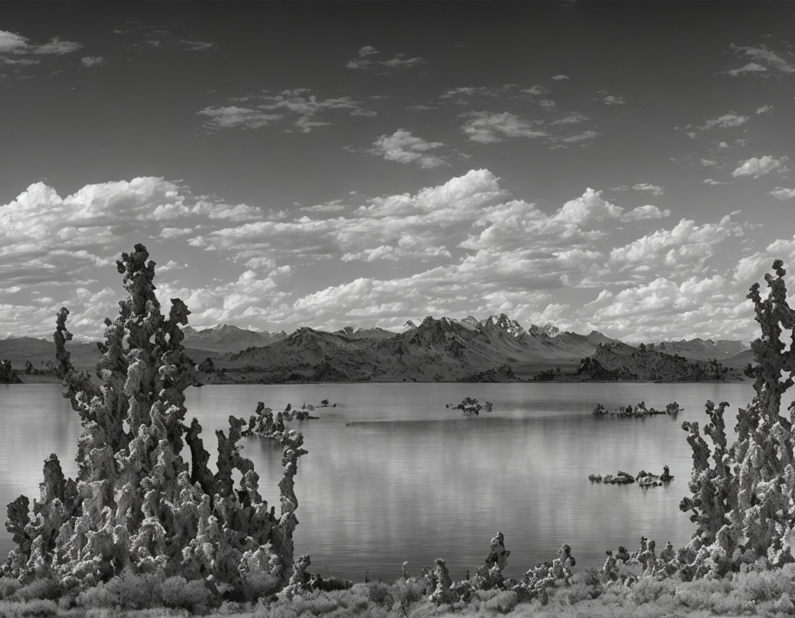Monochrome landscape with tall plants, serene lake, and mountains
