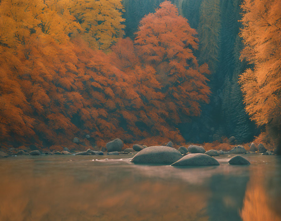 Autumn landscape with orange foliage, river rocks, and misty atmosphere