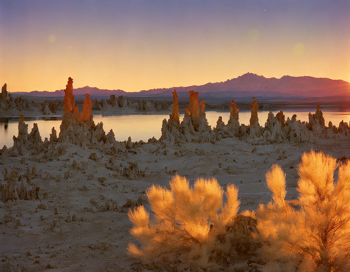 Scenic Sunset at Mono Lake with Tufa Towers and Golden Shrubs