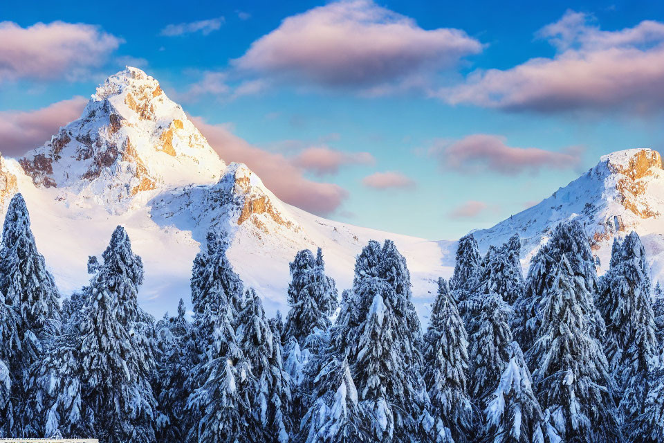 Snow-covered mountain peaks with sunlight, frosty pine trees, blue skies, and pink clouds.