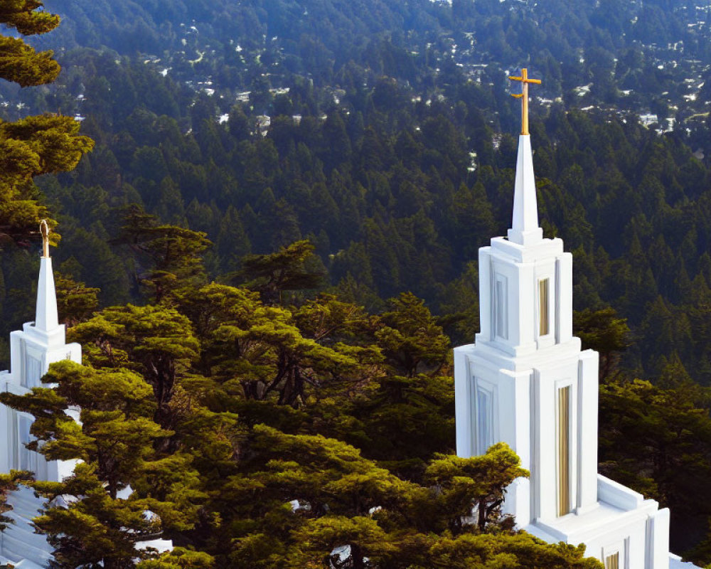 White Steeples with Crosses Amid Dense Green Trees