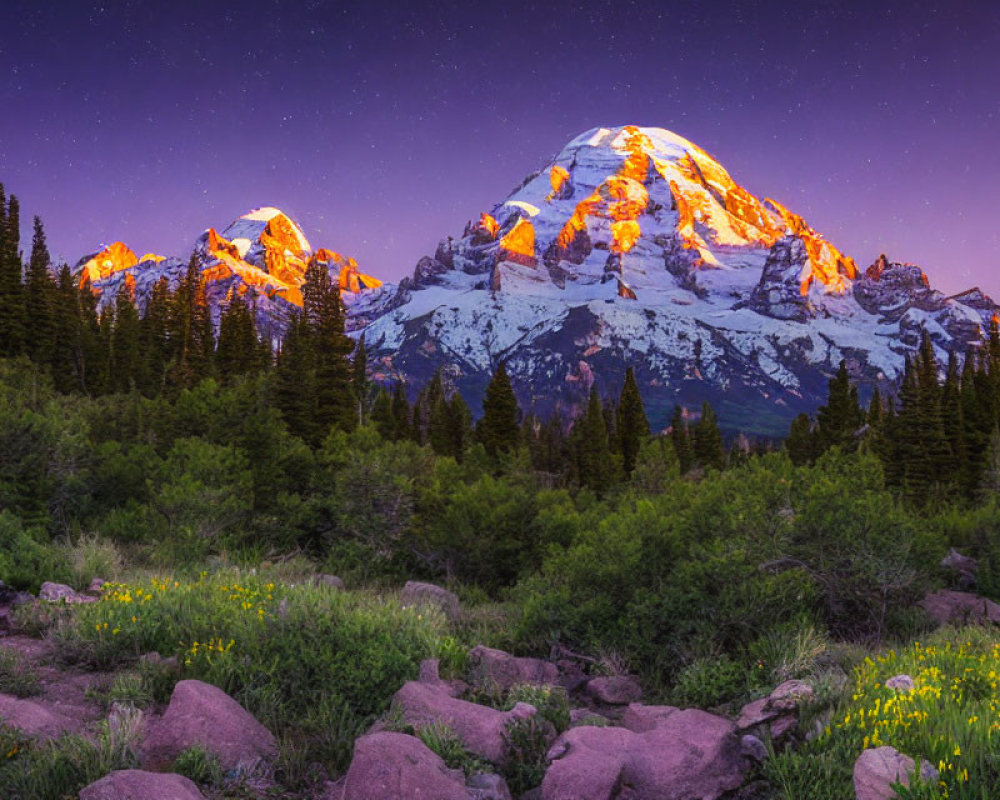 Snow-capped mountain at sunrise with starry sky, green forests, wildflowers, and rocks