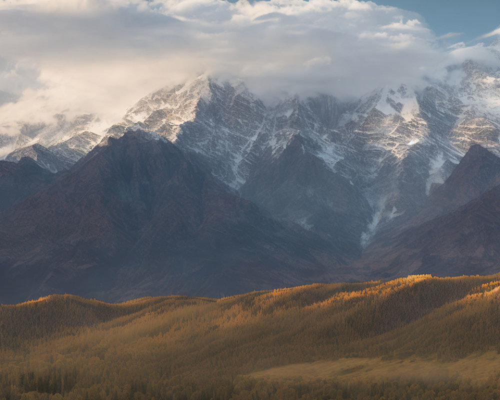 Snow-capped mountain range and autumn forest under cloudy sky