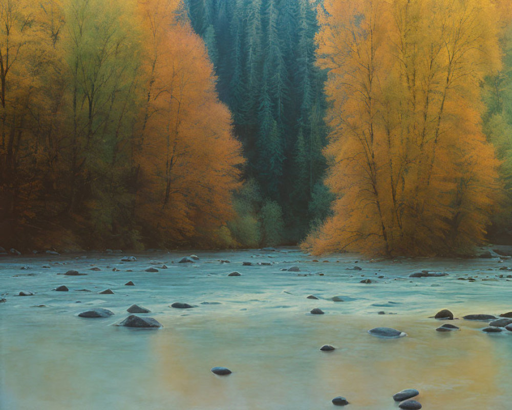Tranquil river among vibrant autumn trees in shades of yellow and orange